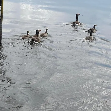 Hotel na wodzie Naturfloss - Biberspur