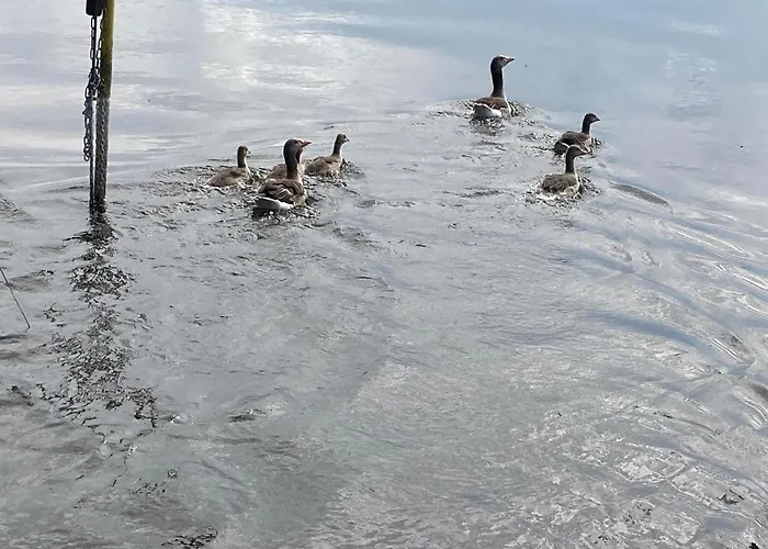 Båthotell Naturfloss - Biberspur