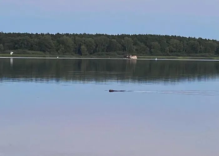 Båthotell Naturfloss - Biberspur